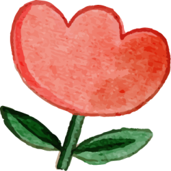 Hoa, hoa tulip, tulip, tulip đỏ, watercolor