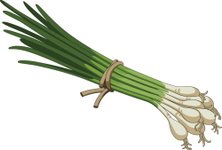 rau củ, hành lá,vegetables, green onions