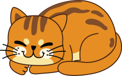 mèo, cat
