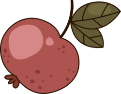 trái cây, trái lựu, pomegranate