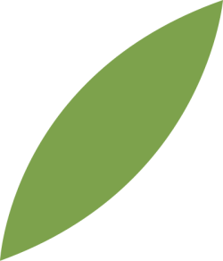lá, leaf