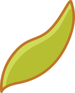 Lá, lá cây, leaf, cute, dễ thương