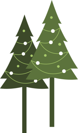 Giáng sinh, christmas, noel, cây thông, tree, pine