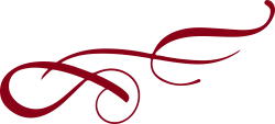 line, đường nét