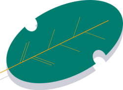Lá, lá cây, leaf