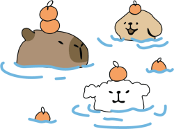 Capybara, chuột lang nước