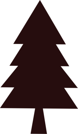 Giáng sinh, christmas, noel, cây thông, pine