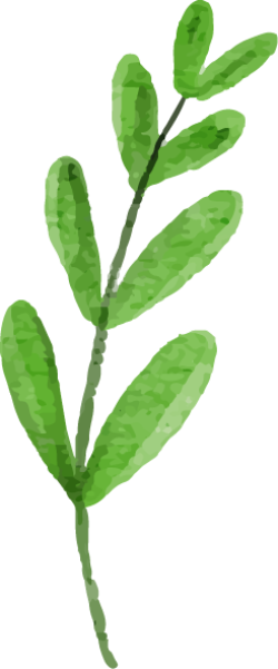 Lá, lá cây, leaf, watercolor