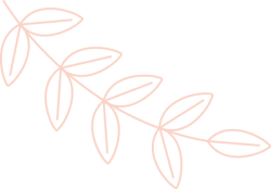 Lá, leaf, giáng sinh, christmas, noel