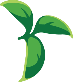lá, leaf
