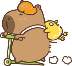Capybara, chuột lang nước
