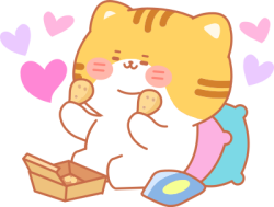 Mèo, cat, cute, dễ thương
