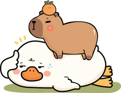Capybara, chuột lang nước