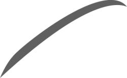 shape, mảng màu, đường nét, line