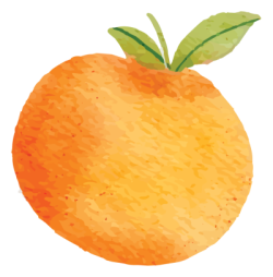 tangerine, orange, quả quýt, quả cam