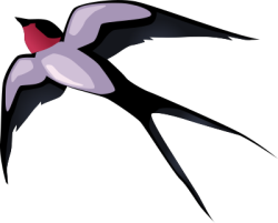 chim, bird, chim én