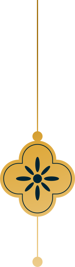 Tết, xuân, hoa mai, hoa, flower