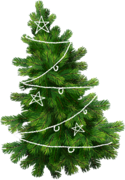 Giáng sinh, christmas, noel, cây thông, tree, pine