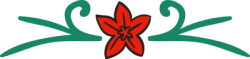 flower, hoa, line, đường nét