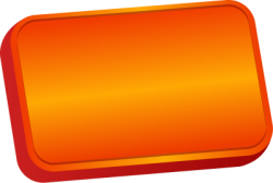sale, nhãn,label