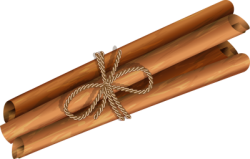 Cinnamon anise, quế hồi