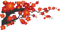Tết, xuân, hoa, hoa anh đào đỏ, hoa anh đào, hoa đào, flower