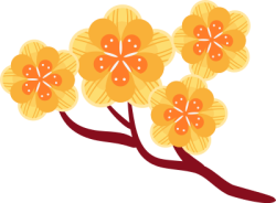 Tết, xuân, hoa, hoa mai, flower