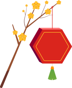 Tết, xuân, hoa mai, hoa, flower, lồng đèn
