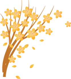 Hoa, hoa lá, hoa đào, hoa mai, flower