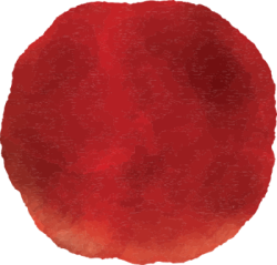 hình tròn, circle, mảng màu, shape, màu nước, watercolor