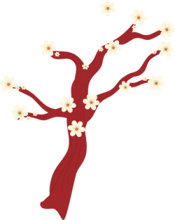 Tết, xuân, hoa mai, hoa, flower