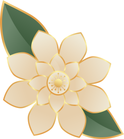 Tết, xuân, hoa, hoa đào, flower, cherry blossom