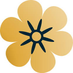 Tết, xuân, hoa mai, hoa, flower