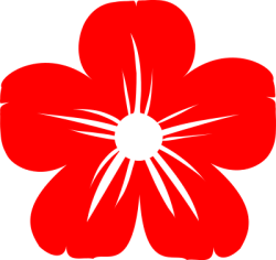 Hoa, hoa mai, hoa đào, flower, tết, xuân
