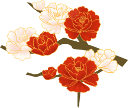 Hoa, hoa trà, flower, hoa hồng