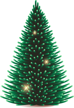 Giáng sinh, christmas, noel, cây thông, pine