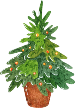 Giáng sinh, noel, xmas, christmas, cây thông, cây, tree, pine
