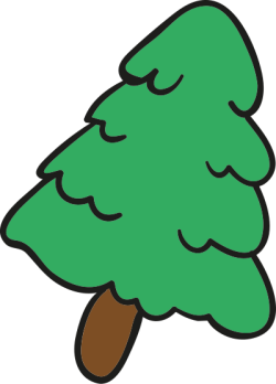 Giáng sinh, christmas, noel, cây thông, pine