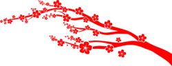 Hoa, hoa mai, hoa đào, flower, tết, xuân