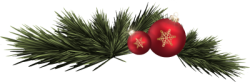 Giáng sinh, noel, xmas, christmas, lá thông, pine needles