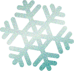 snow, tuyết,Giáng sinh, christmas, noel, trái châu, trang trí, decor
