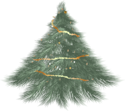 Giáng sinh, noel, xmas, christmas, cây thông, cây, tree, pine
