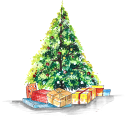 Giáng sinh, noel, trang trí, decor, cây thông, pine