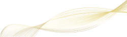 light, ánh sáng