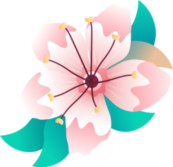 Tết, xuân, hoa, hoa đào, flower, cherry blossom