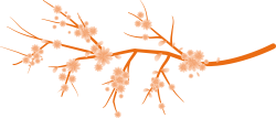 Tết, xuân, hoa, hoa anh đào, hoa đào, flower