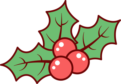 Giáng sinh, christmas, noel, lá nhựa ruồi, quả mọng, lá