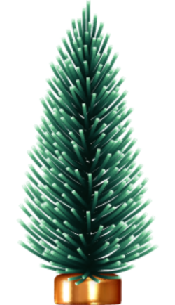Giáng sinh, noel, xmas, christmas, cây thông, cây, tree, pine
