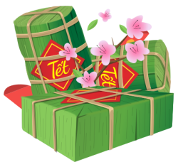 Tết, xuân, bánh chưng, bánh tét, chung cake, bánh, hoa đào