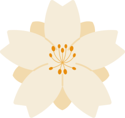 Tết, xuân, hoa mai, hoa, flower